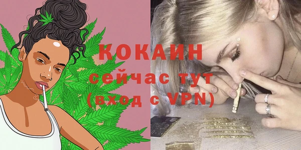 spice Бородино